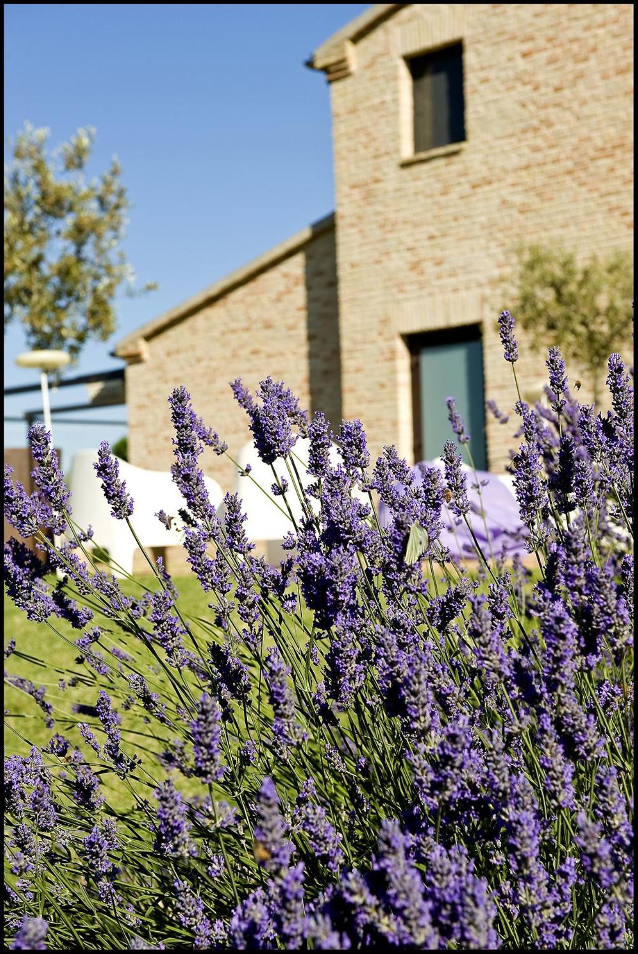 בית הארחה Trecastelli 	Solea Relais Di Charme- Adults Only מראה חיצוני תמונה